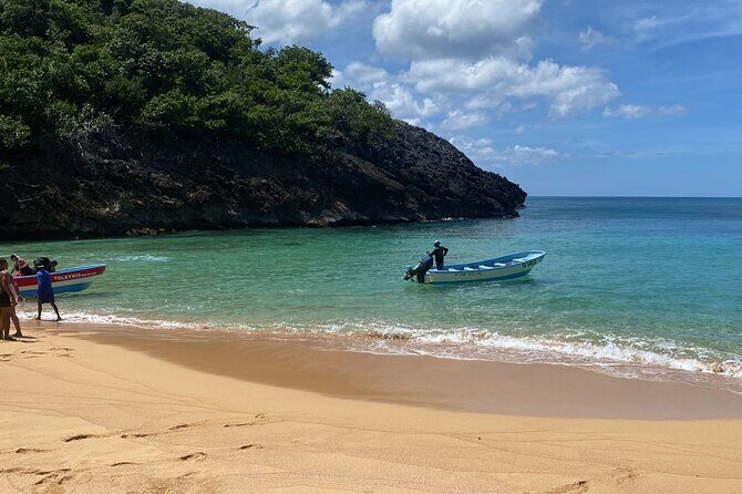 Private Airport Transportation in Bavaro Punta Cana - Is This Service Worth the Price?