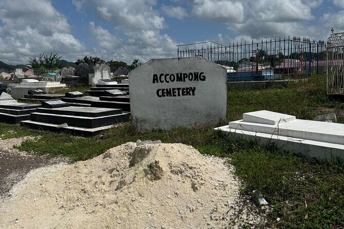 Private Airport Transportation Montego Bay to Negril - What to Expect During Your Transfer