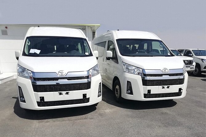 Private Airport Transportation to Punta Cana and Bávaro Hotels - Overview of Airport Transfer