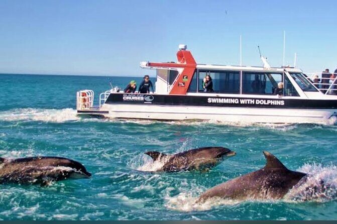 Private Akaroa Day Tour From Christchurch - FAQs