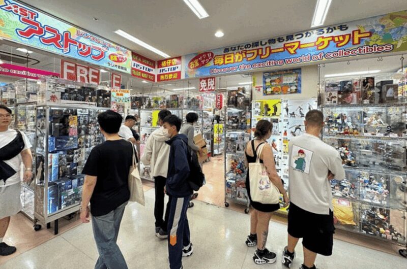 Private Akihabara Anime Game Maid Cafe Tour w/ free pickup - Good To Know