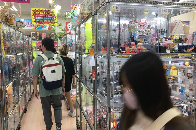 Private Akihabara Anime Guided Walking Tour - Tour Highlights