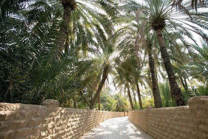 Private Al Ain City Tour From Dubai With Buffet Lunch - Tour Details