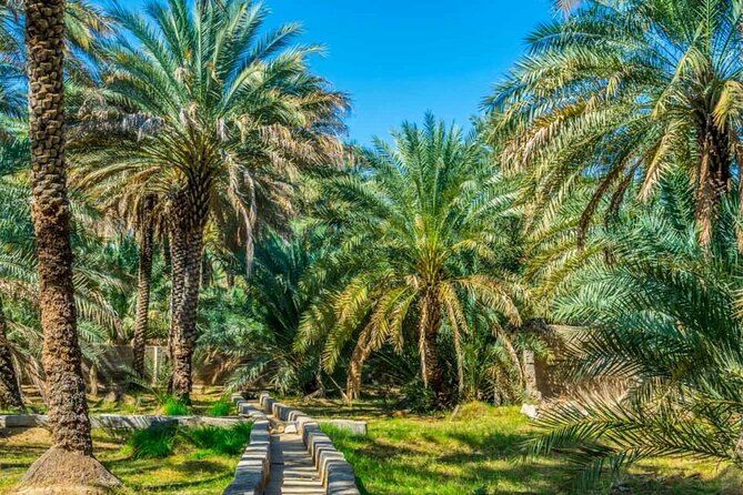 Private Al Ain Tour by 4x4 Vehicle With Zoo Tickets - Inclusions