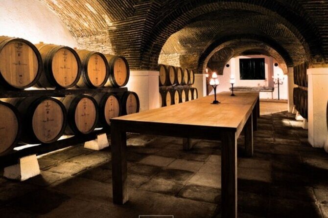 Private Alentejo Wine Tour & Évora Heritage from Lisbon - Transport, Timing & Value