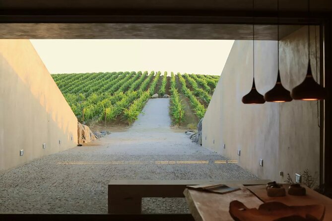 Private Alentejo With Wine Tasting - Unique Private Wine Tasting Experience