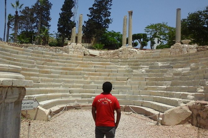 Private Alexandria Highlights Guided Day Tour - Tour Overview