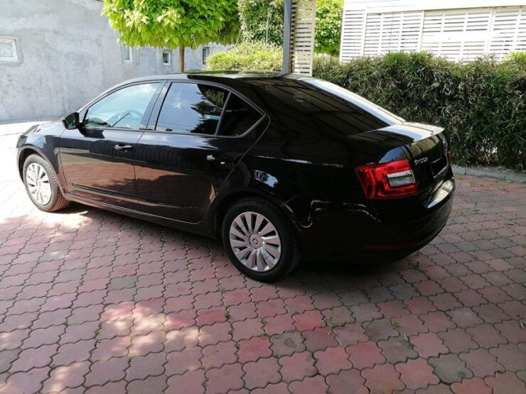 Private Algiers Airport Transfers To/From Bejaia City - Booking and Flexibility Options