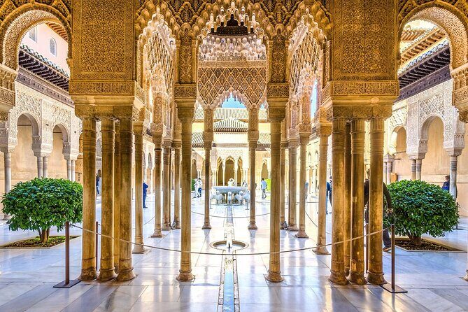 Private Alhambra & Nasrid Palaces Tour . From Malaga and Surronds - Who Should Consider This Tour?