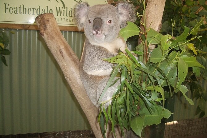 PRIVATE All Blue Mountains Tour, Wildlife Park and River Cruise - Learn About Aboriginal Culture