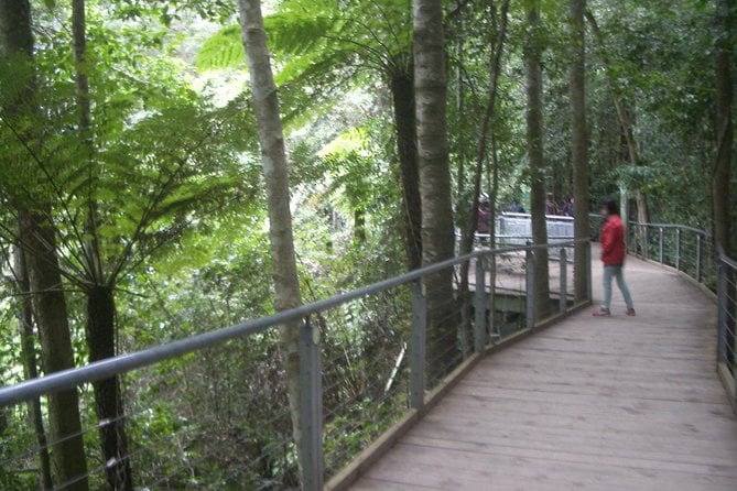 PRIVATE All Blue Mountains Tour, Wildlife Park and River Cruise - Wildlife Park Visit