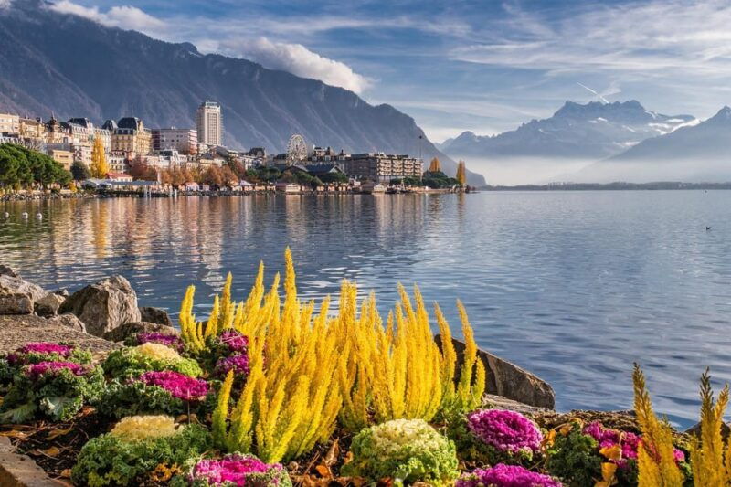 Private All Day Trip Form Geneva to Lausanne & Montreux - Transportation and Driver Information