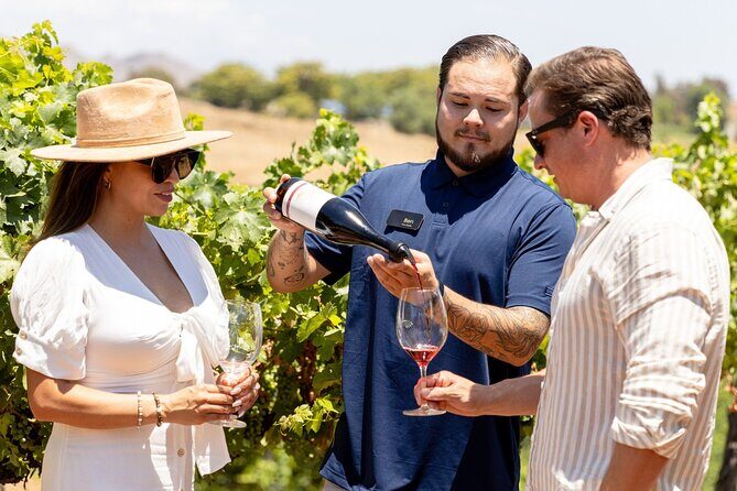 Private All-Inclusive 3-Winery Tour from Paso Robles/Atascadero - What to Expect from the Tour