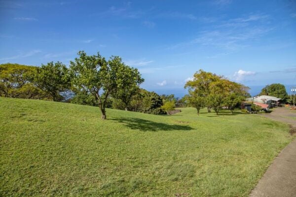 Private - All Inclusive Big Island Circle Tour - The Sum Up