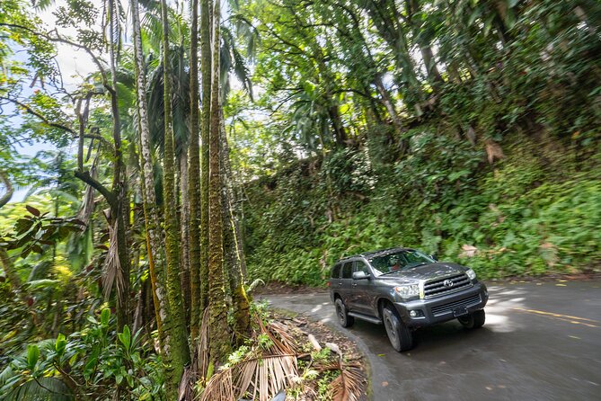 Private - All Inclusive Big Island Volcano & Waterfalls Tour - Common Questions