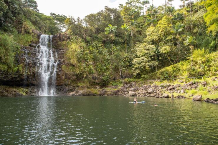 Private - All Inclusive Big Island Waterfalls Tour - Tour Experiences