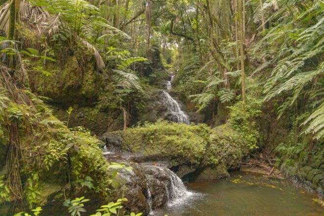 Private - All Inclusive Big Island Waterfalls Tour - Tour Highlights