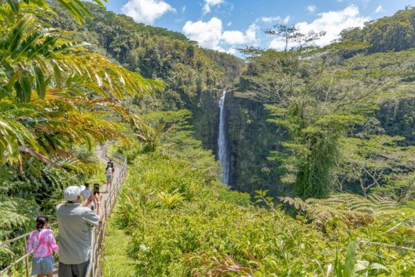 Private - All Inclusive Big Island Waterfalls Tour - The Sum Up