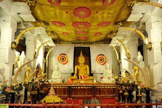 Private All Inclusive Day Tour to Kandy from Colombo and Negombo - Transportation and Practical Details