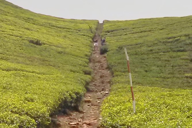 Private All Inclusive Day Trip Kandy & With Your Selected Attractions - Booking and Travel Information