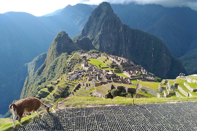 Private ALL Inclusive Full Day Tour of Machu Picchu From Cusco or Sacred VALLey - Miscellaneous