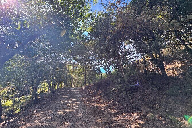 Private All Inclusive Hot Springs Relaxing Tour - Final Thoughts