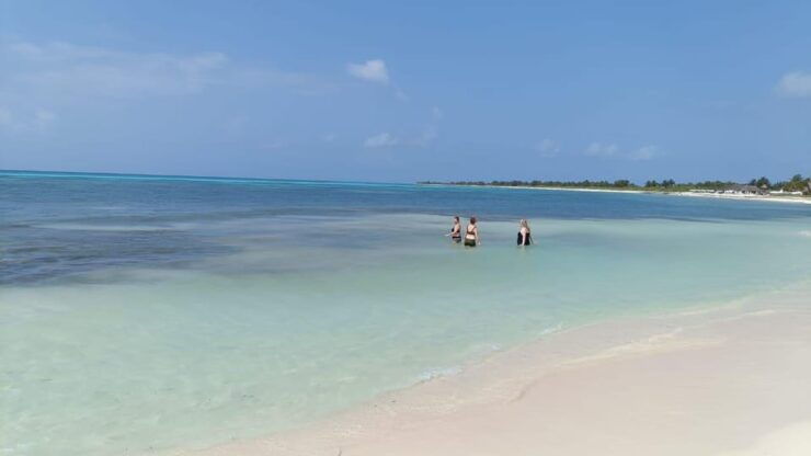 Private All Inclusive Jeep Tour at Cozumel & Punta Sur Park - Good To Know