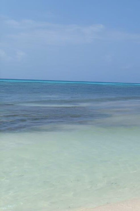 Private All Inclusive Jeep Tour at Cozumel & Punta Sur Park - Itinerary Highlights