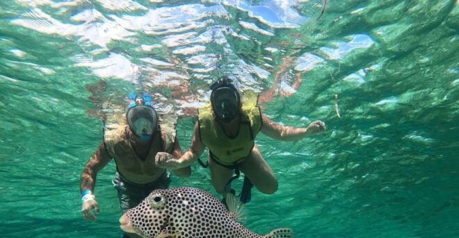 Private All Inclusive Jeep Tour at Cozumel & Punta Sur Park - Inclusions
