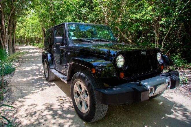 Private All Inclusive Jeep Tour at Cozumel & Punta Sur Park - Accessibility and Flexibility