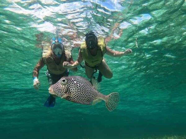 Private All Inclusive Jeep Tour at Cozumel & Punta Sur Park - Tequila Tasting Experience