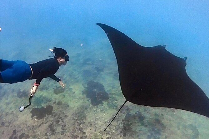 Private All Inclusive Nusa Penida Snorkeling and Tour - A Complete Look at the Nusa Penida Snorkeling & Sightseeing Tour