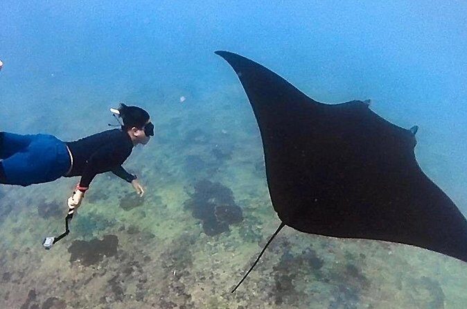 Private All Inclusive Nusa Penida Snorkeling and Tour - The Sum Up: Who Will Love This Tour?