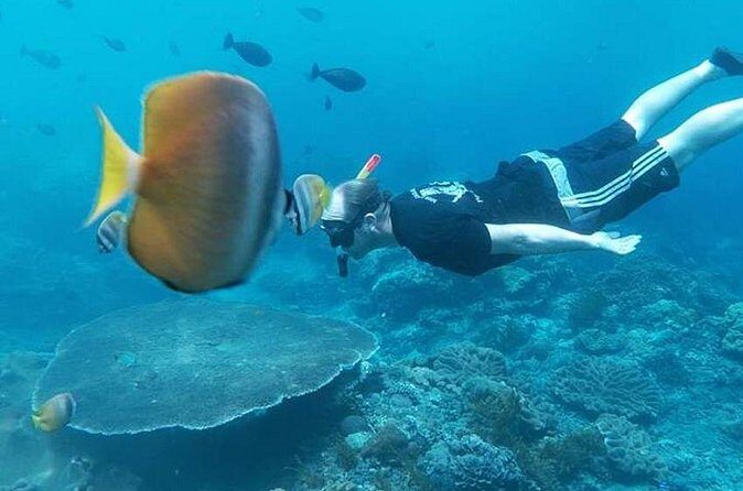Private All Inclusive Nusa Penida Snorkeling and Tour - FAQ