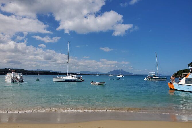 Private all-inclusive snorkeling at sosua beach. - Detailed Breakdown of the Tour