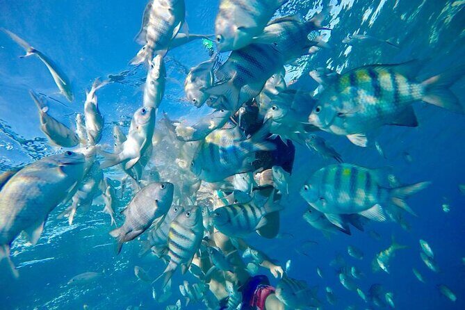 Private all-inclusive snorkeling at sosua beach. - FAQ