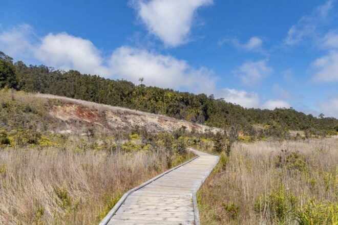 Private - All-Inclusive Volcanoes National Park Tour - Full Description of the Tour