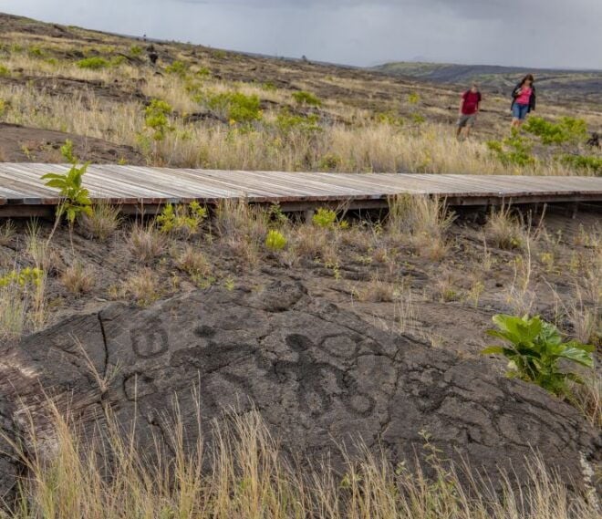 Private - All-Inclusive Volcanoes National Park Tour - Customer Review and Additional Information