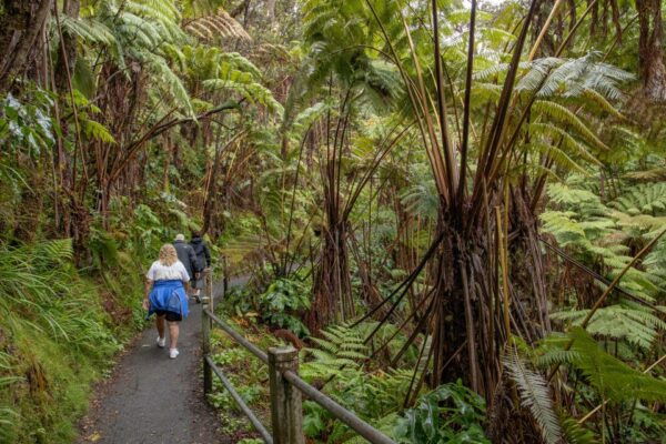 Private - All-Inclusive Volcanoes National Park Tour - Common Questions