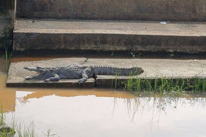 Private All-Inclusive Yala National Park Safari Bentota or Galle - The Authenticity and Value of the Experience