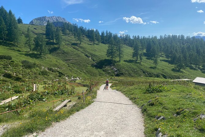 Private Alpine Splendor Munich to Salzburg Scenic Tour - Tour Overview
