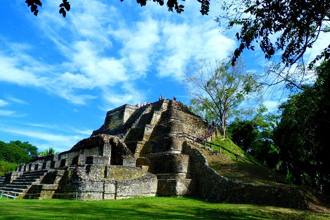 Private Altun Ha Maya Ruin & Belize City Adventure From Belize City - Tour Details