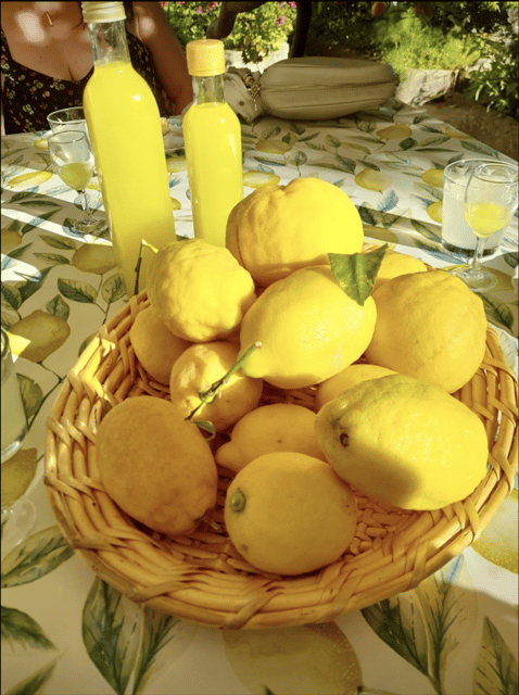 Private: Amalfi Organic Lemon Tour & Tasting - Historical Significance