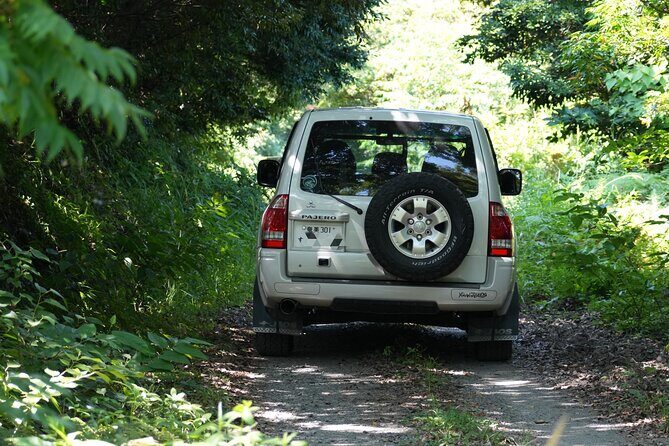 Private Amami Nature and Culture Experience - Who Is This Tour Best For?