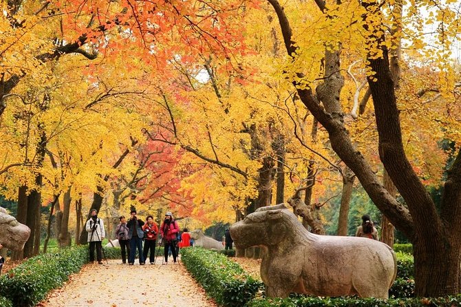 Private Amazing Nanjing City Day Tour in Your Way - Good To Know