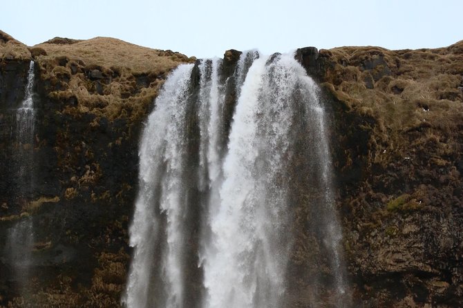 Private Amazing South Coast Tour in Iceland - Tour Highlights