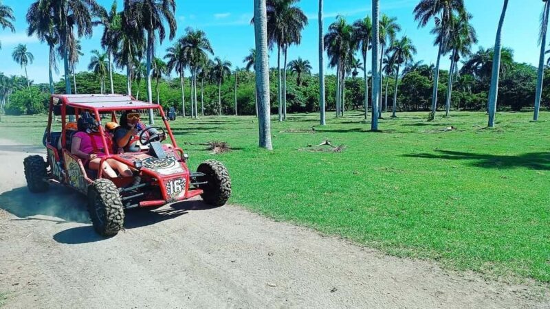 Private: Amber Cove or Taino Bay: Buggy Tour with Beach Stop - An In-Depth Look at the Buggy Tour Experience