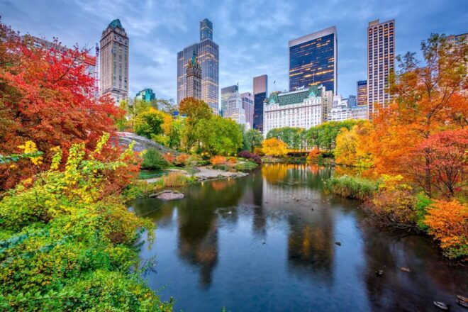 Private American Beer Tasting Tour in New York City - Premium Beer and Food Tasting Tour