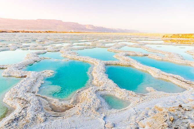Private Amman Airport Layover Tour to Dead Sea - Good To Know