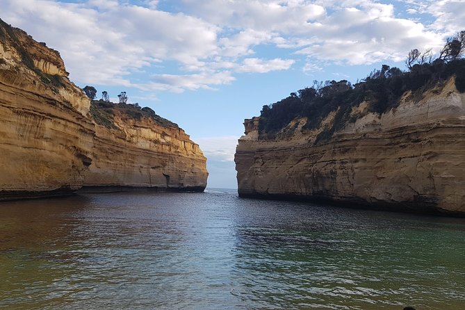Private and Customised Great Ocean Road and 12 Apostles Tour - Koala Spotting in Great Otway National Park
